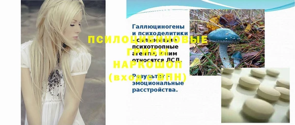 винт Аркадак