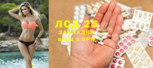 винт Аркадак