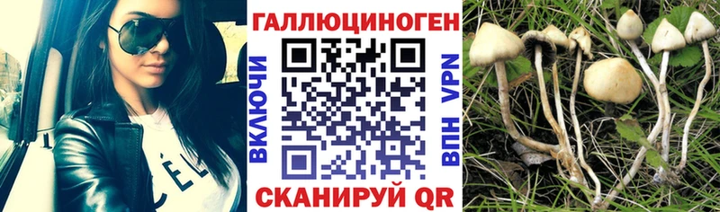 Псилоцибиновые грибы мухоморы  магазин продажи   Орёл 